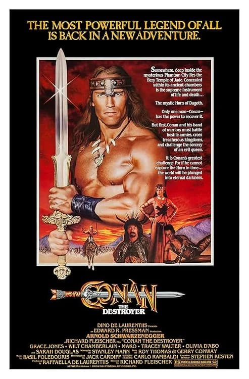 Conan the Destroyer film posteri